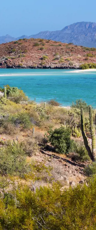 Wie gefährlich ist Mexiko wirklich?